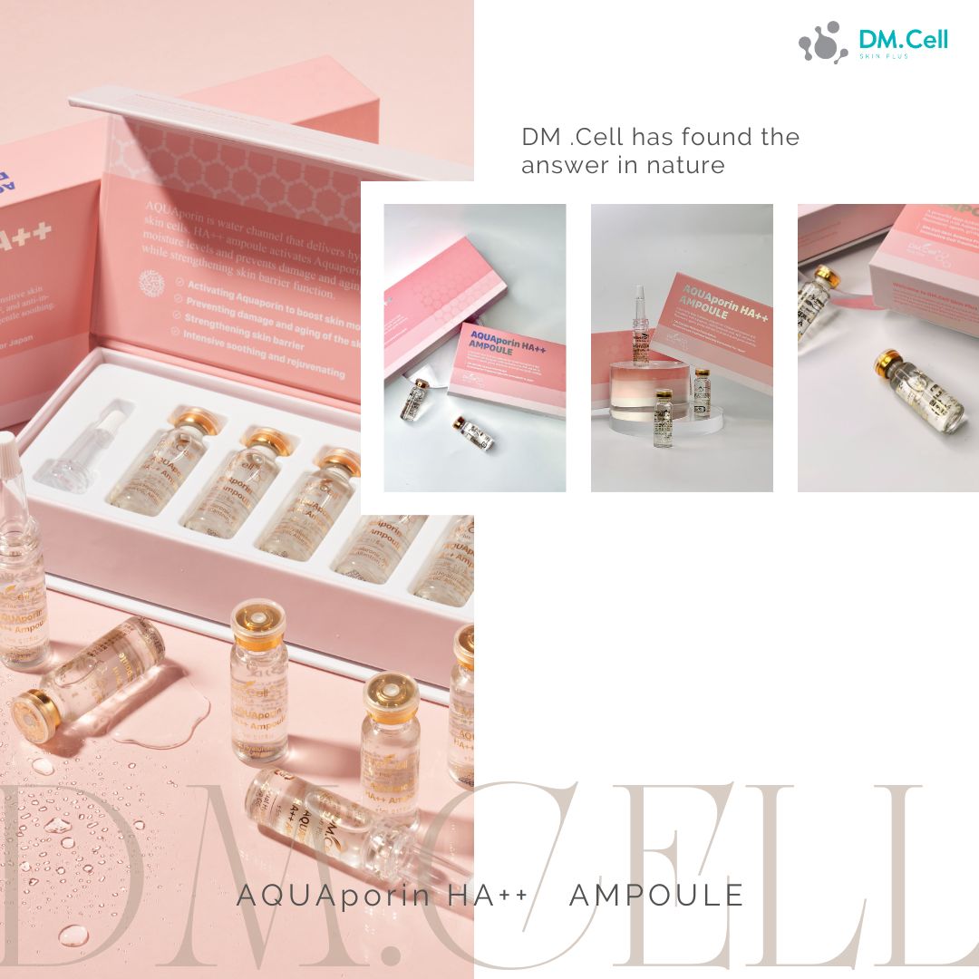 xr:d:DAFmamB3YLc:52,j:961913119322865625,t:23062602